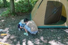 DSC_1234-973x547